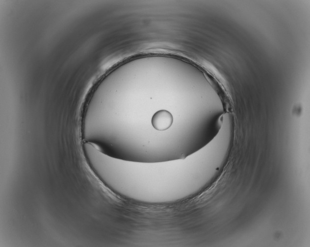 X0000096691384200802261530