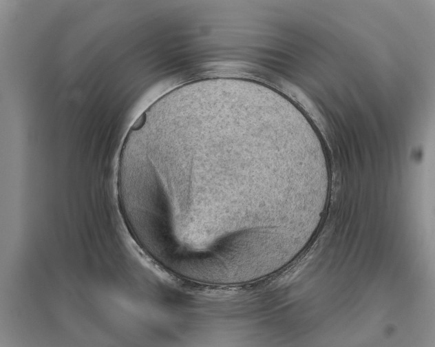 X0000096691386200802261530