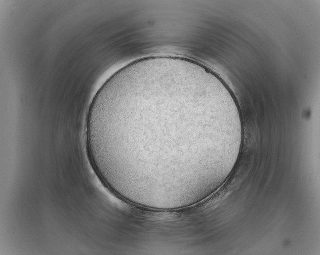 X0000096691387200802261530