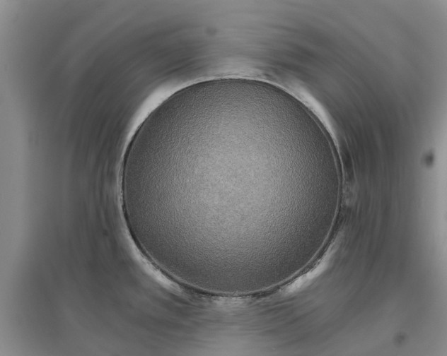 X0000096691389200802261529