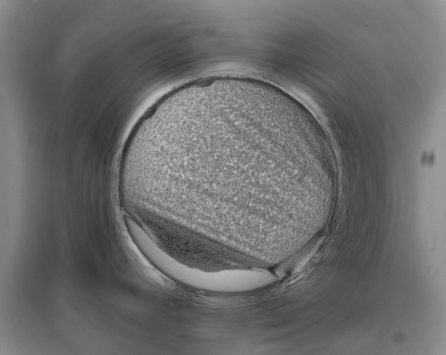 X0000096691392200802261529