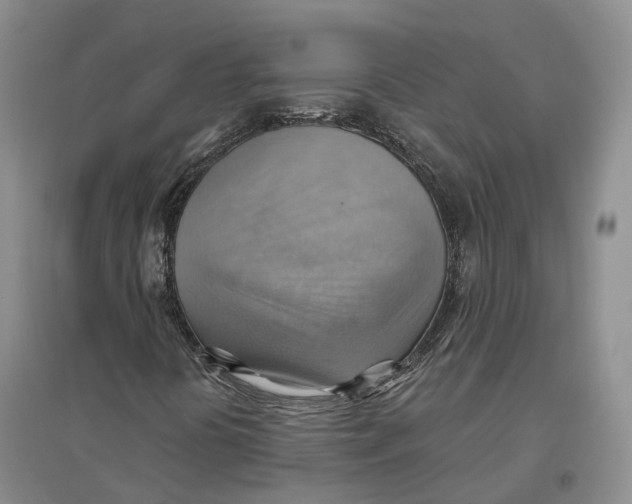 X0000096691394200802261529