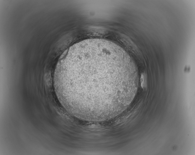 X0000096691395200802261529