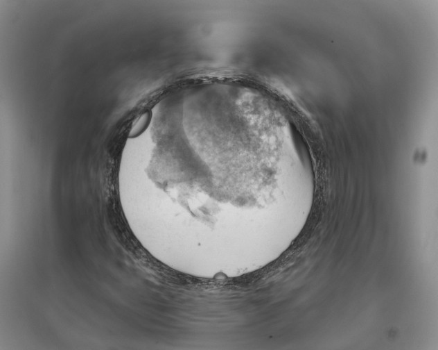 X0000096691399200802261529