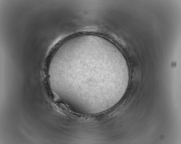 X0000096691400200802261529