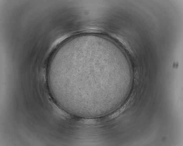 X0000096691402200802261529