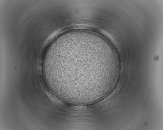 X0000096691403200802261529