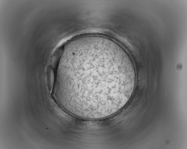 X0000096691404200802261529