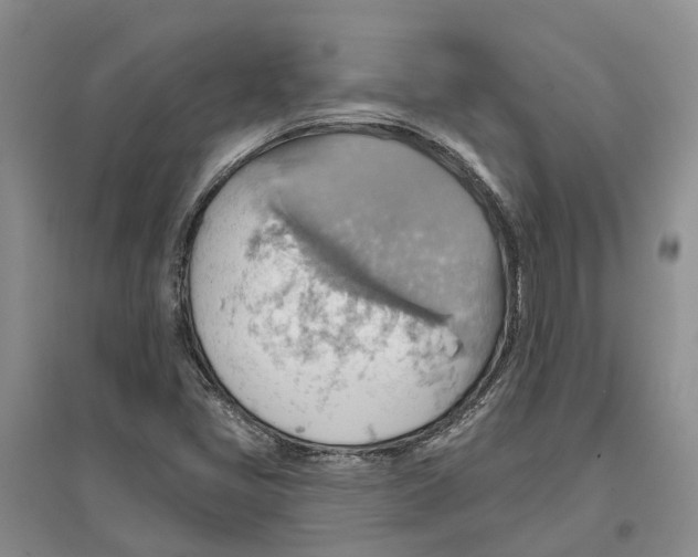 X0000096691405200802261529