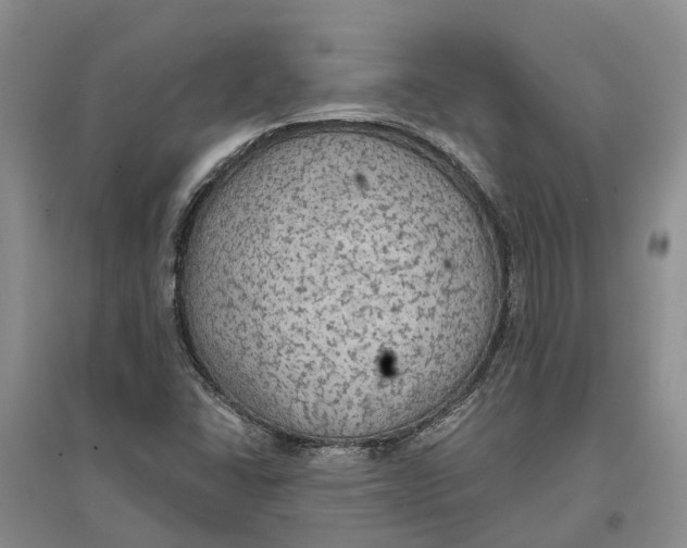 X0000096691406200802261529