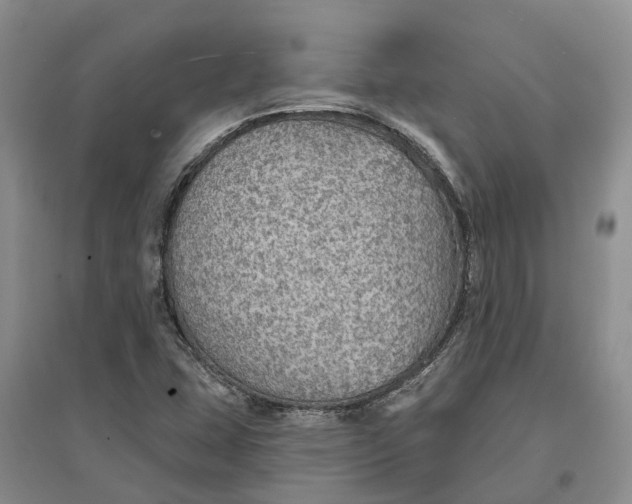 X0000096691407200802261529