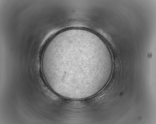 X0000096691408200802261529