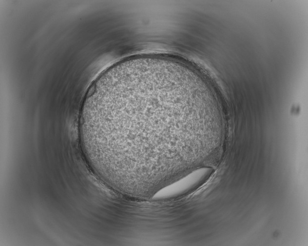 X0000096691409200802261529