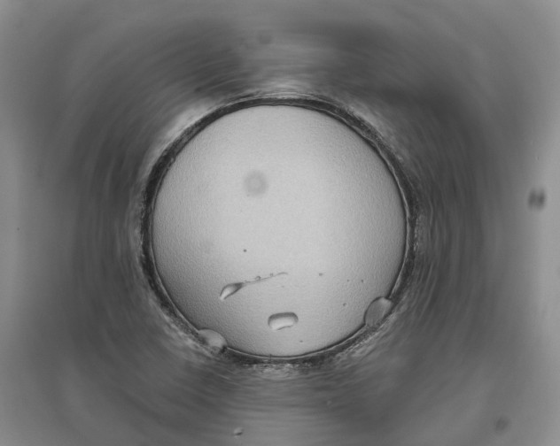 X0000096691410200802261529