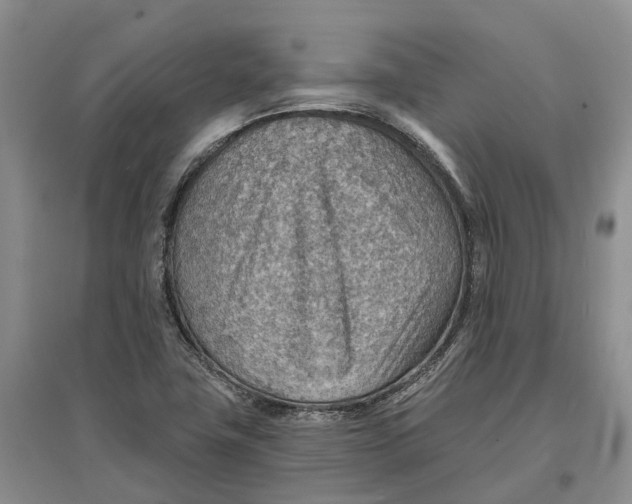 X0000096691411200802261529