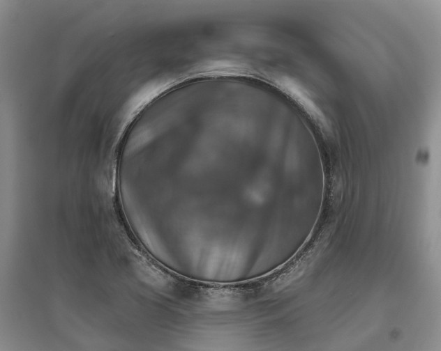 X0000096691413200802261529