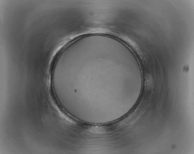 X0000096691414200802261529