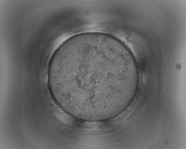 X0000096691415200802261529