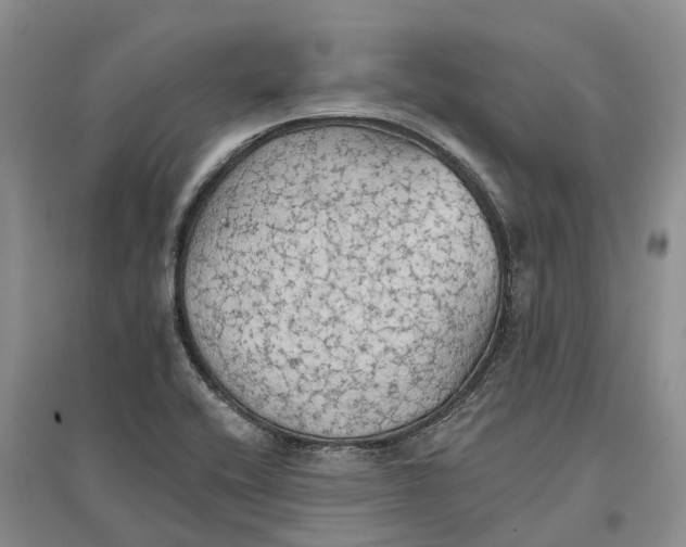 X0000096691416200802261529