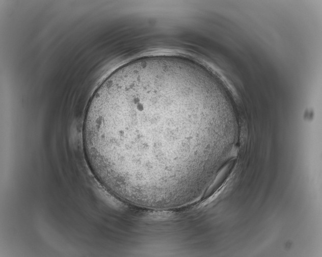 X0000096691417200802261529