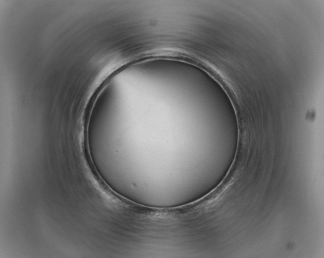 X0000096691418200802261529