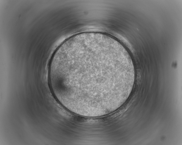 X0000096691419200802261529