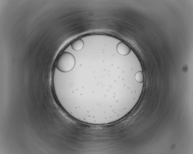 X0000096691420200802261529