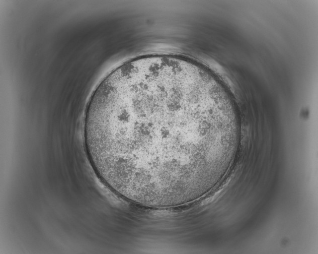 X0000096691421200802261529