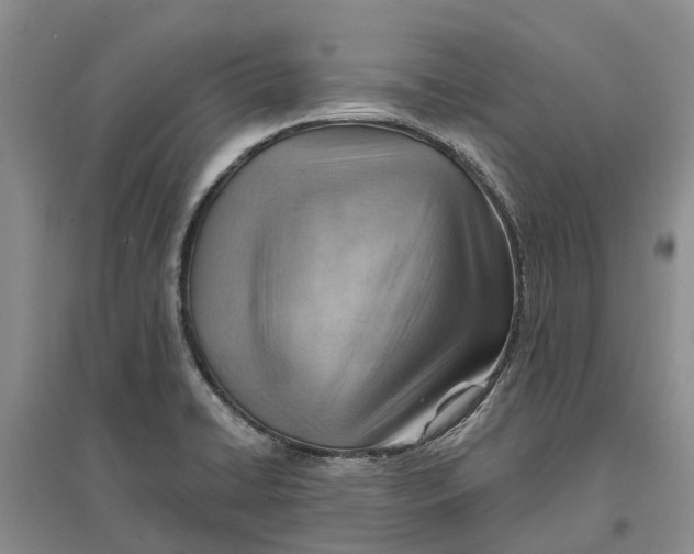 X0000096691422200802261529