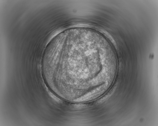 X0000096691425200802261529