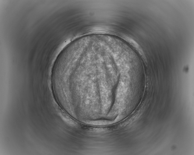 X0000096691427200802261529