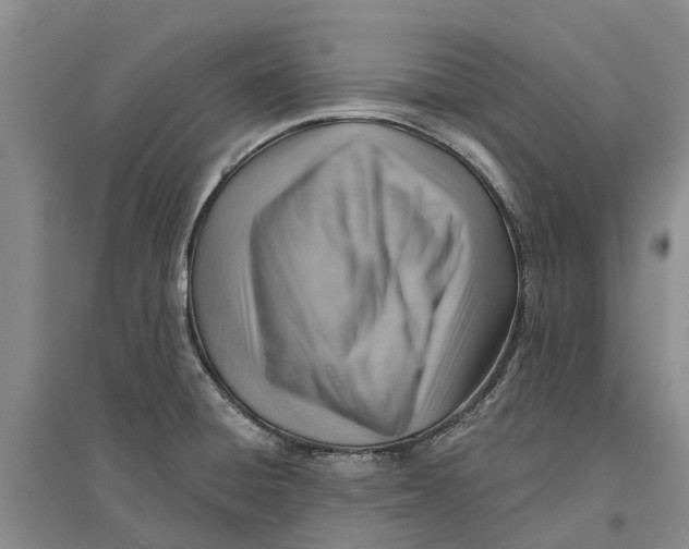 X0000096691428200802261529