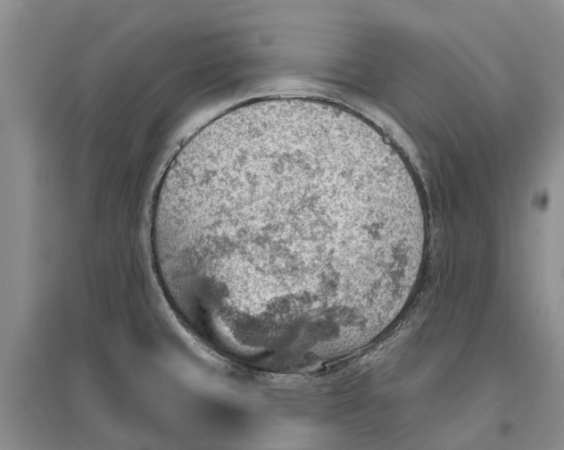 X0000096691429200802261529