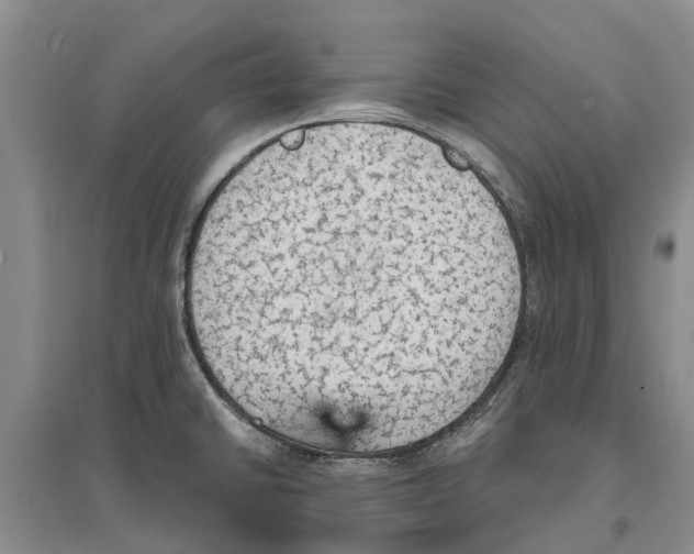 X0000096691430200802261529