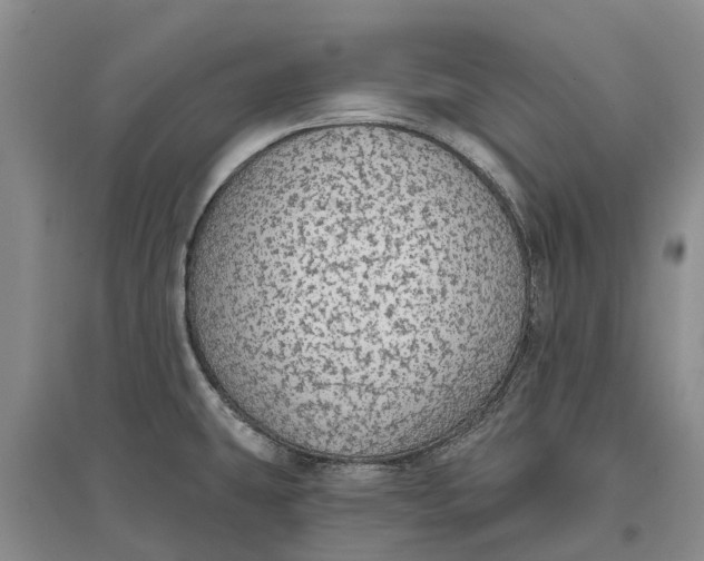 X0000096691431200802261529