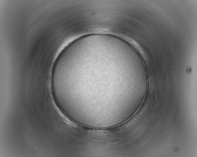 X0000096691432200802261529