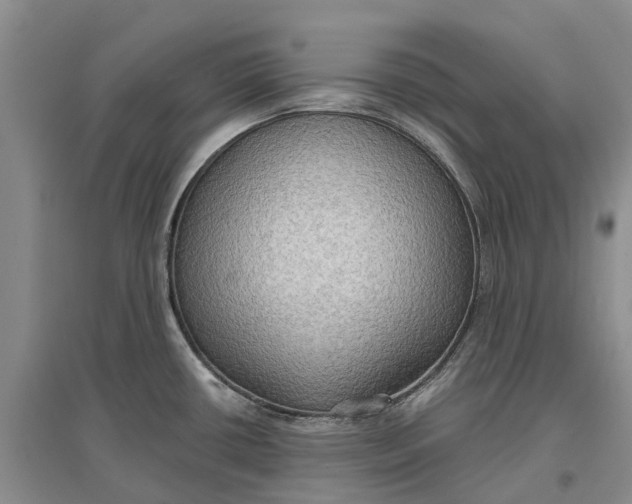 X0000096691434200802261529