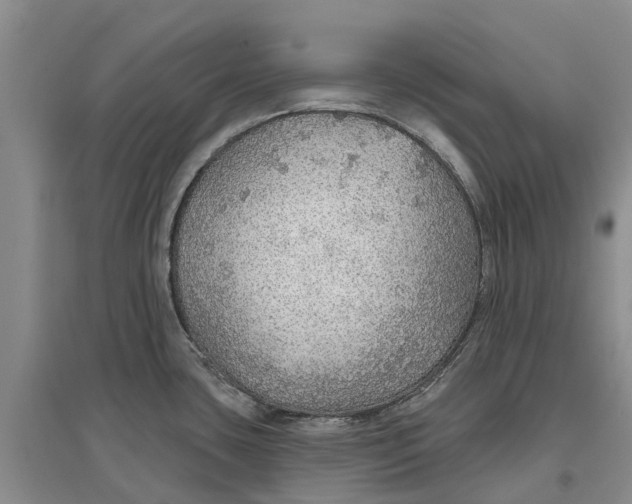 X0000096691435200802261529