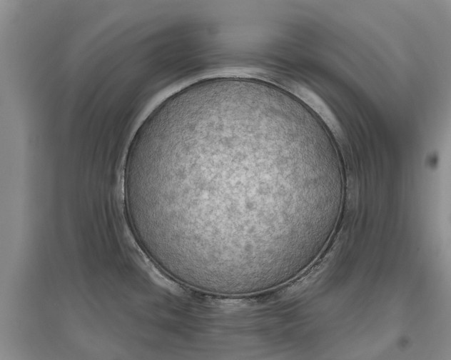 X0000096691436200802261529