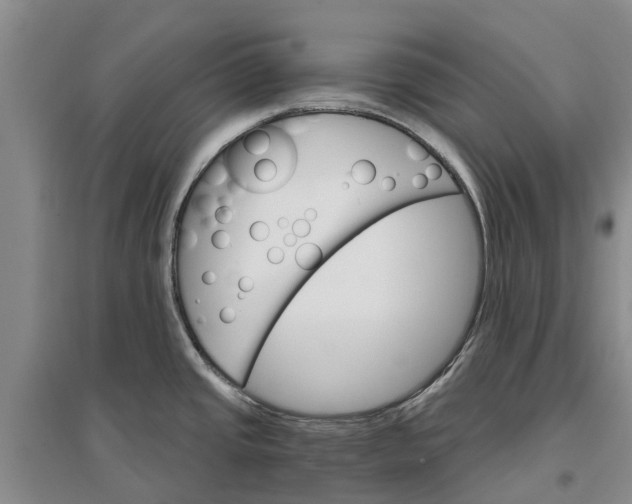 X0000096691437200802261529