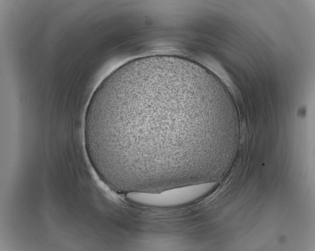 X0000096691439200802261529