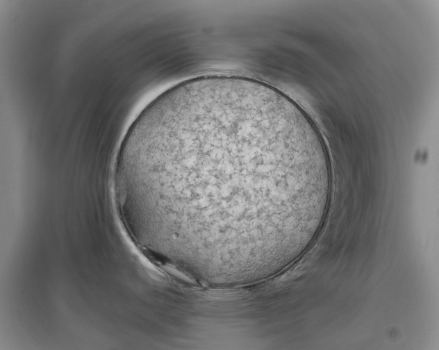 X0000096691440200802261529