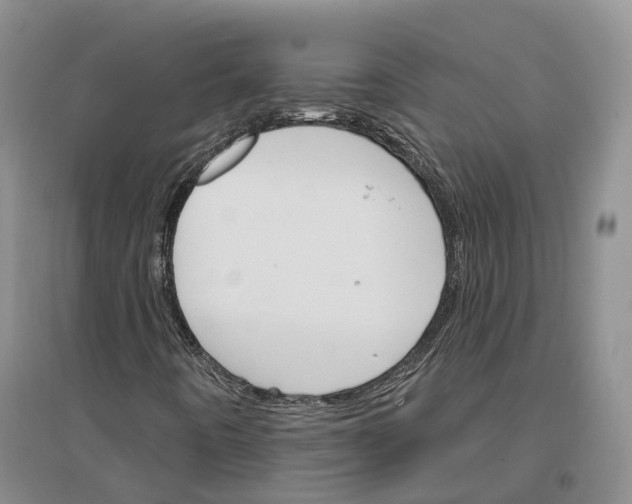 X0000096691442200802261529