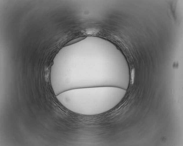 X0000096691443200802261529