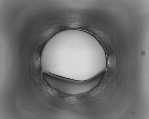 X0000096691444200802261529