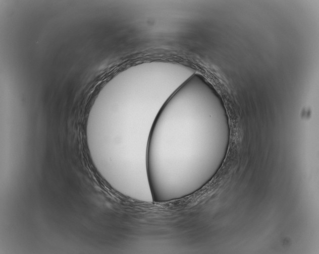 X0000096691445200802261529