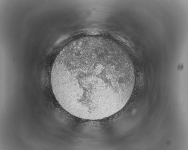 X0000096691446200802261529