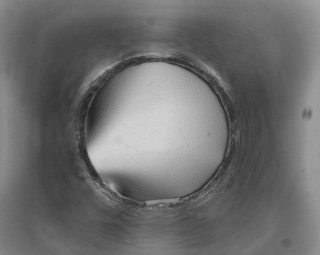 X0000096691448200802261529