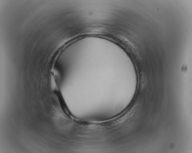 X0000096691449200802261529