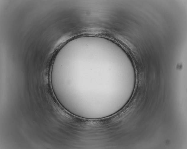 X0000096691451200802261529